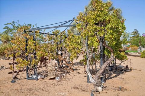 A home in Joshua Tree