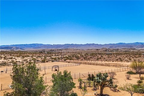 A home in Joshua Tree