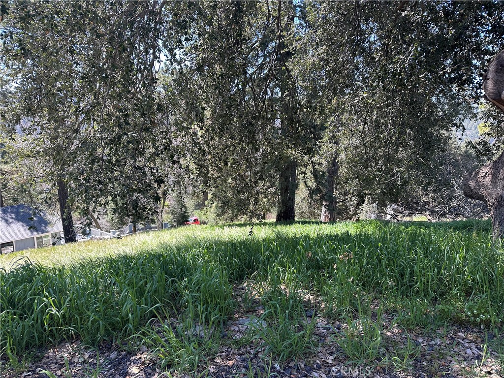 0 Elliot Road