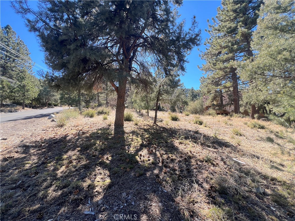 Listing image 8