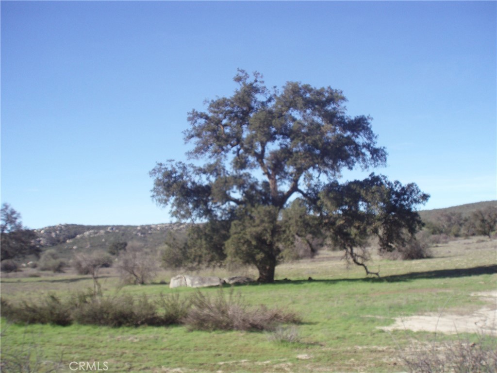 53 Willow Canyon Road