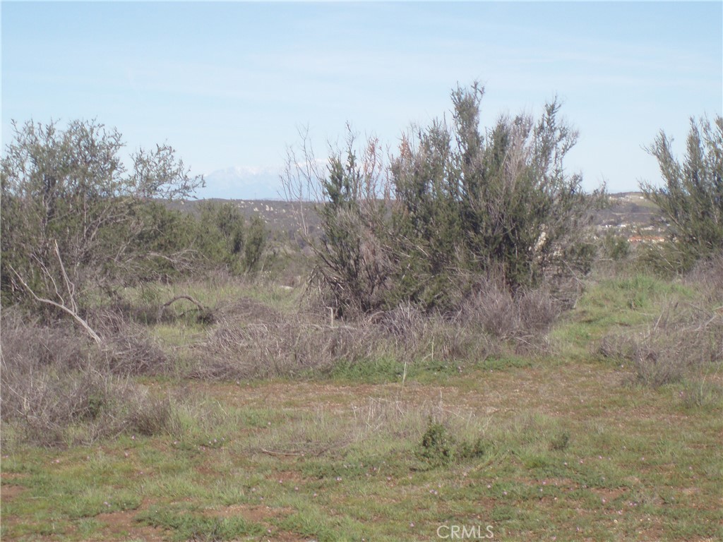 53 Willow Canyon Road