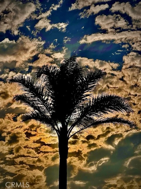 Beach Tract(730) - Residential