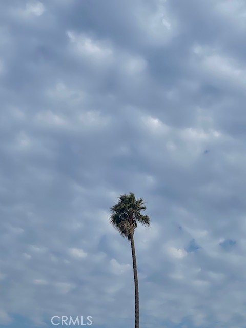 Beach Tract(730) - Residential