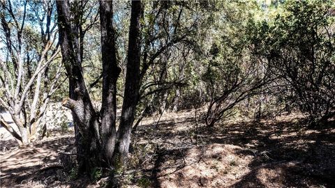 A home in Kelseyville