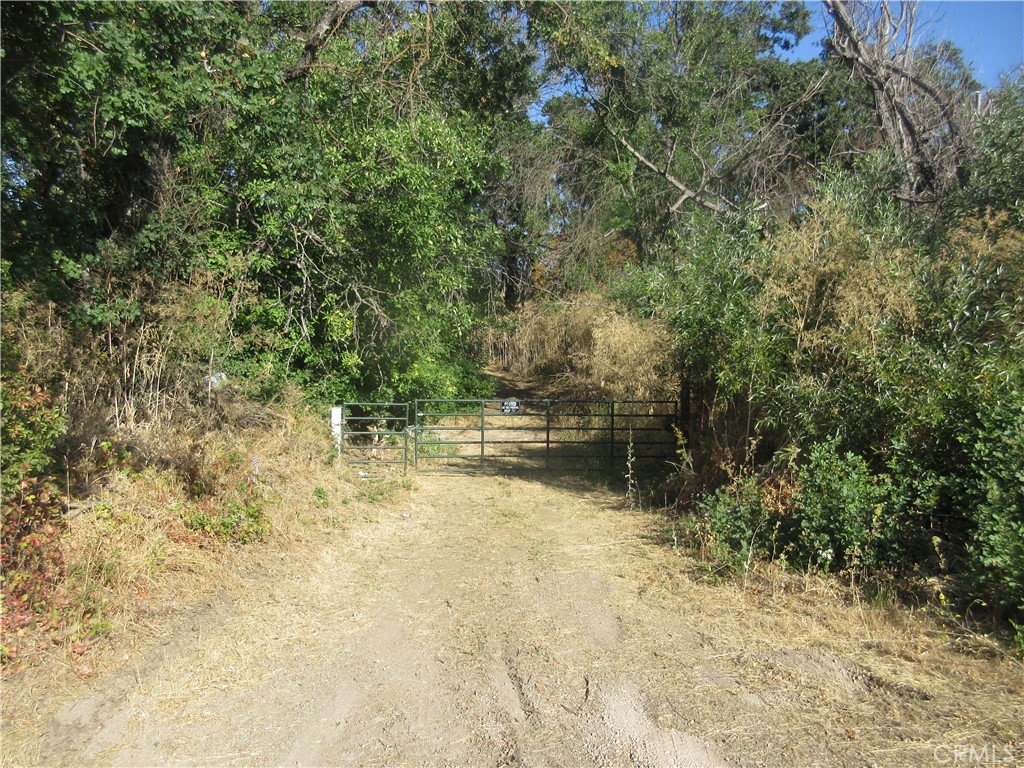 10.66 acres older walnut orchard with Manning Creek bisecting the property. Well and power are in. Access by easement through adjacent property that fronts on Highland Springs Rd. Development limited to agricultural uses.