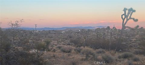 A home in Yucca Valley