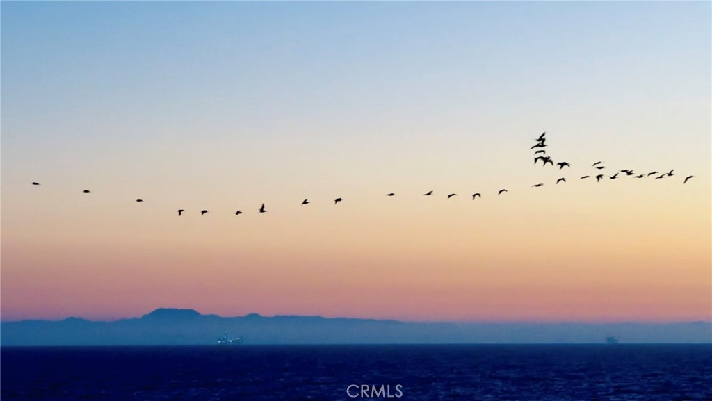 1312 pacific coast hwy