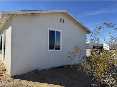 A home in Joshua Tree