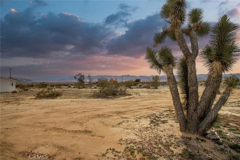 A home in Joshua Tree