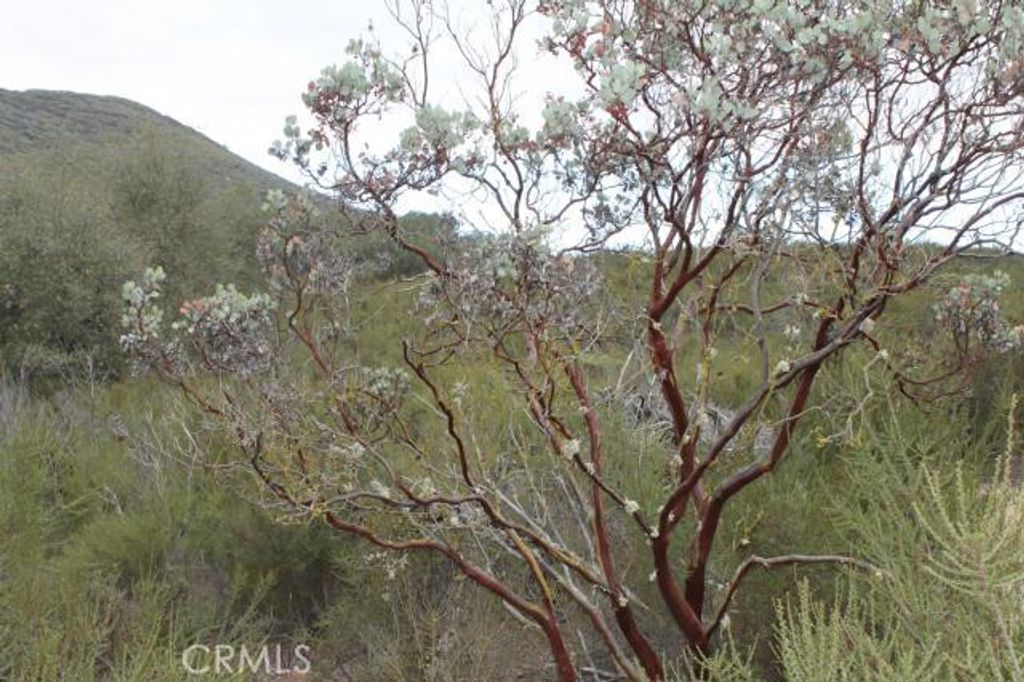 listing image 130724147586025832050