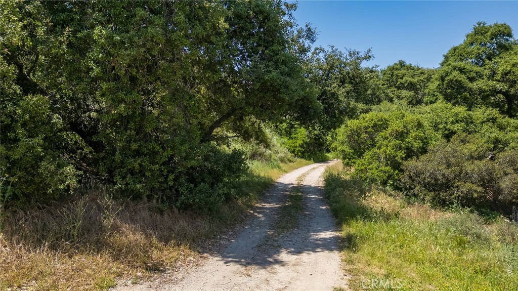 Escape to your own slice of paradise with this rare opportunity to own 10 acres of pristine land in an equestrian neighborhood surrounded by nature yet only 3 minutes to Rancho Santa Margarita. Located just down the street from O'Niell Regional Park and situated on a private drive with long street frontage, this land has a gently sloped flat area and endless vistas of Saddleback Mountain. In today's fast-paced world, finding such a perfect blend of tranquility and convenience is a true gem. With vast expanses of greenery and peaceful surroundings, this property offers a unique chance to create the lifestyle you've always dreamed of. Don't miss out on this extraordinary opportunity – seize the chance to make your vision a reality in this coveted and scarce enclave and discover the magic of this unparalleled setting. This lot is surrounded by residential homes off Trabuco Oaks Drive.
This 10 acre oasis is conveniently just 5 minutes away from top notch restaurants and stores, ensuring easy access to amenities including shopping, and dining options. Plus, with the beach a mere 30-minute drive away, you can indulge in leisurely seaside escapes whenever the mood strikes.
Whatever your visions can image and dream or simply escaping the hustle and bustle of everyday life, this 10-acre sanctuary offers endless possibilities. Don't miss this rare opportunity to own a slice of paradise where nature meets convenience. Experience the serenity for yourself! Trabuco Canyon is incorporated into the Foothill Trabuco Specific Plan. Buyer to investigate and satisfy themselves as to building and development opportunities. Trabuco Oaks to Danielle Lane (1st left just past Olive). Danielle Lane goes straight into lot. Lot starts around 'private road sign' (Please DO NOT trespass past private road sign onto neighbors property. They are really nice, but too many people have gone onto their property) Lot goes all the way right, around the corner. You can get an idea by looking at the map. Topography report attached. Buyer to satisfy themselves to desired usability of land. Link to Foothill Trabuco Specific Plan https://ocds.ocpublicworks.com/sites/ocpwocds/files/import/data/files/22855.pdf. Truly a beautiful lot with incredible views, privacy and lots of road frontage.