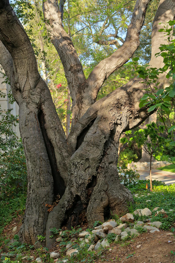 Not Applicable - Residential