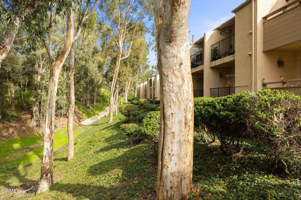 Seneca Gardens 08 - 4908 - Residential