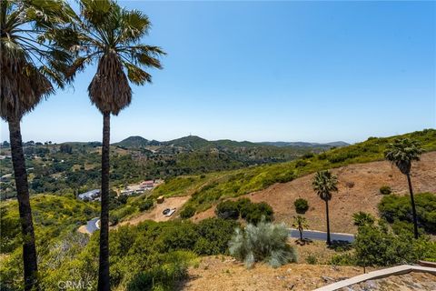 A home in Modjeska Canyon