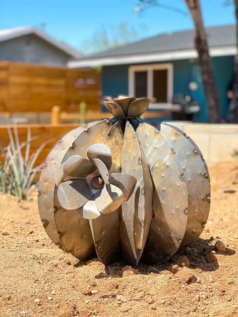 A home in Joshua Tree