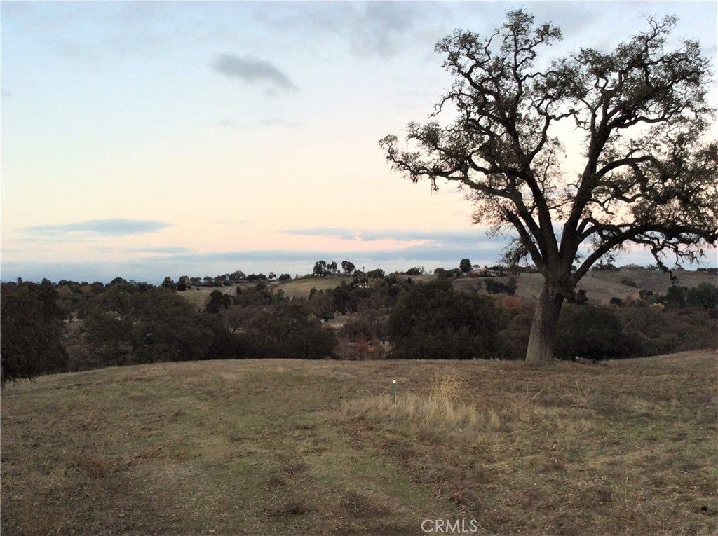 listing image 130724787686372620713