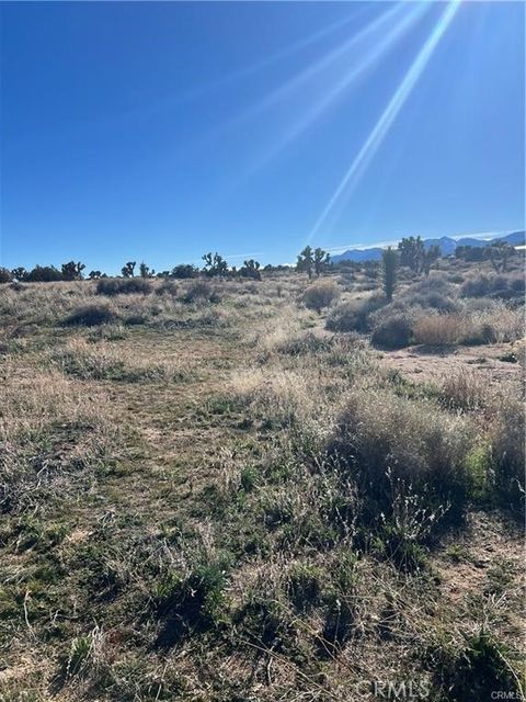 Photo of 0 Tricobble Court, Phelan, CA 92371 (MLS # HD25067680) Photo of 0 Tricobble Court, Phelan, CA 92371 (MLS # HD25067680)