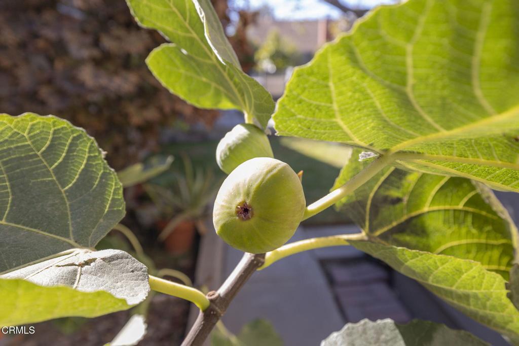 Concord North 01 - 210201 - Residential