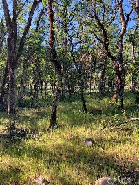 Photo of 16073 13th Avenue, Clearlake, CA 95422 (MLS # LC23088460) Photo of 16073 13th Avenue, Clearlake, CA 95422 (MLS # LC23088460)