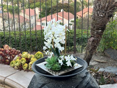 A home in Laguna Niguel