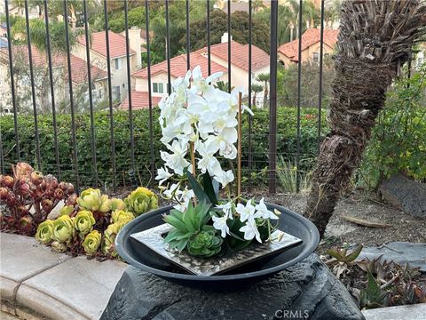 A home in Laguna Niguel