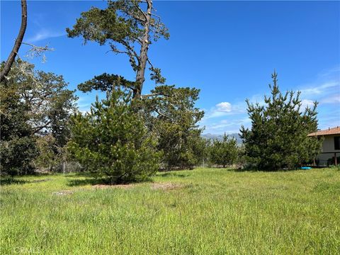 Tiny photo for 2540 Malvern Street, Cambria, CA 93428 (MLS # SC25053710)