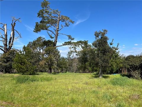 Tiny photo for 2540 Malvern Street, Cambria, CA 93428 (MLS # SC25053710)