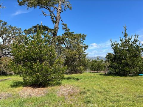 Tiny photo for 2540 Malvern Street, Cambria, CA 93428 (MLS # SC25053710)