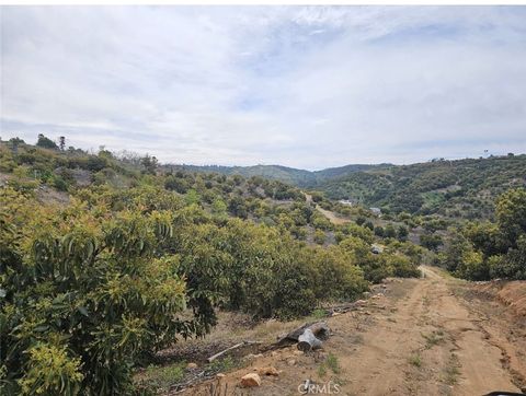 10438 Couser Way Bonsall CA 92003