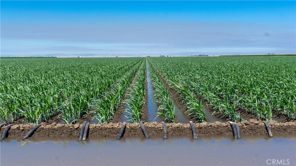 931 contiguous acres of fertile farmland with plentiful water. Currently planted to corn silage and alfalfa. Irrigation water supplied by Merced Irrigation District and Deep Wells. This property is highly suited to support permanent plantings.