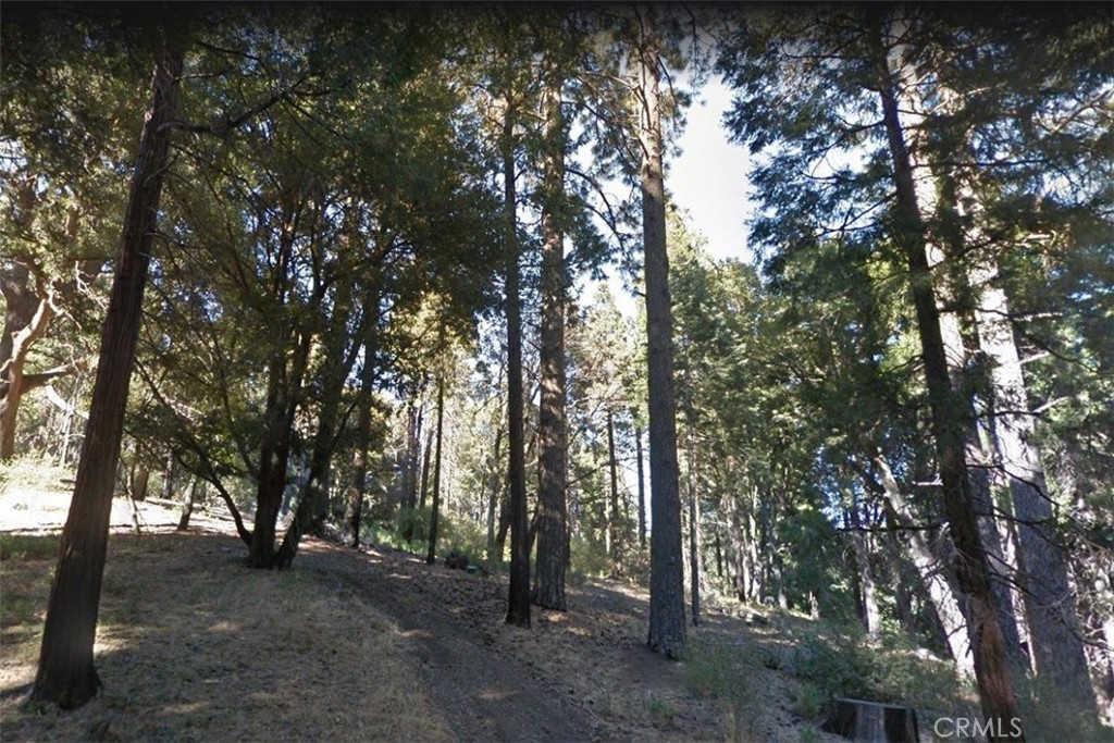 Welcome to this beautiful GEM, Lot#59 available in the ever-growing area of located in the City of Cedarpines Park, CA, APN#0342-035-59-0000, Perfect to build a getaway cabin to escape the grinding fast-paced life of the city, Enjoy the spectacular views of mountain scenery., The seller will consider financing with a 50% down payment for 1 year. APN 0342-035-59-0000, Google Maps coordinates: 34.262167, -117.321639, Buyers and agents must verify utilities, buildability, zoning, land usage, and exact property boundaries.