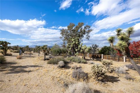 A home in Joshua Tree