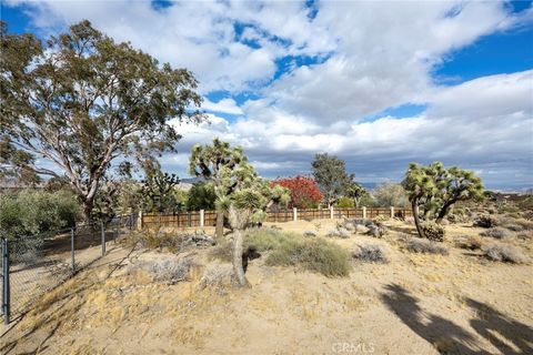 A home in Joshua Tree