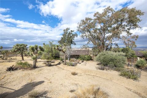 A home in Joshua Tree