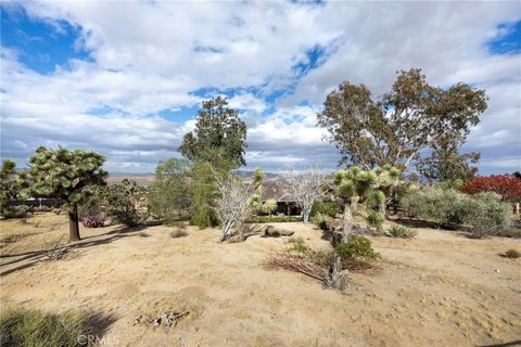 A home in Joshua Tree