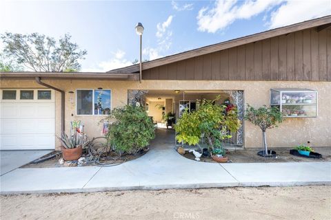 A home in Joshua Tree