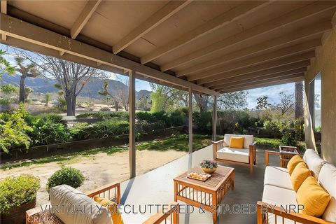 A home in Joshua Tree