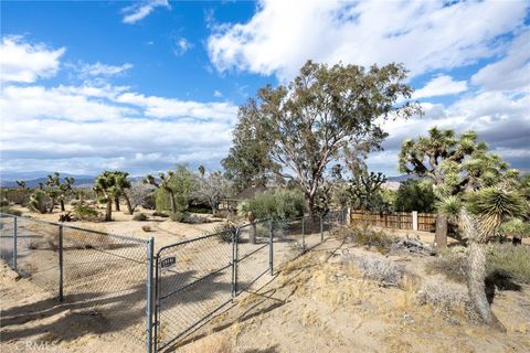 A home in Joshua Tree