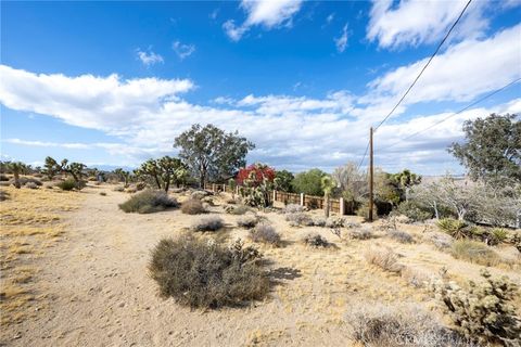 A home in Joshua Tree