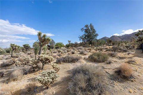 A home in Joshua Tree