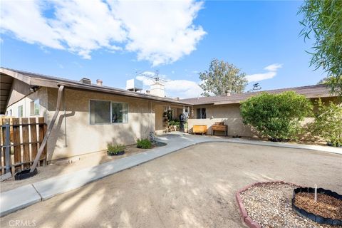 A home in Joshua Tree