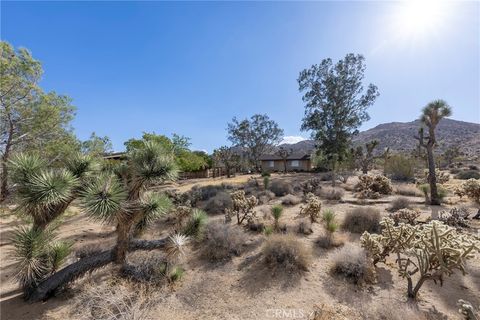 A home in Joshua Tree