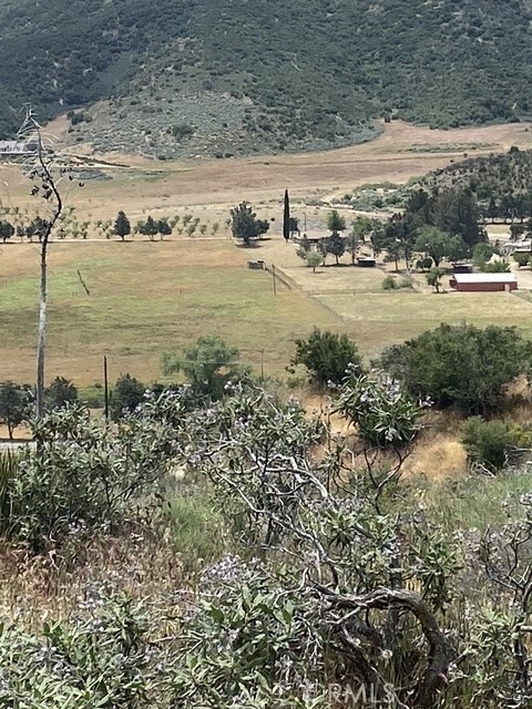 11039 Elizabeth Lake Road