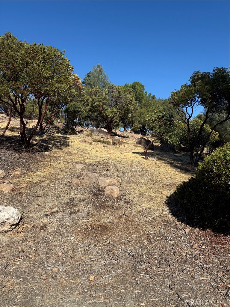 Traingle shaped lot located at the end of a Cul De Sac. This lot is fairly level with some rocks. Great place to build your new dream home. Kelseyville Riviera has a lot to offer in water sports, and other outdoor activities. Located close to the shopping center, restaurants and Konocti Harbor Inn.