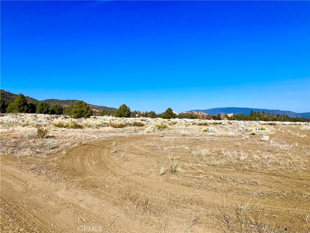 COME VIEW THIS SCENIC LEVEL 2.28 ACRE PARCEL IN LOCKWOOD VALLEY!! Just 10 minutes from the quaint mountain community of Frazier Park. Great location with majestic panoramic mountain views, four seasons of nature and spectacular starry nights! Conditional use permit is necessary in order to build.