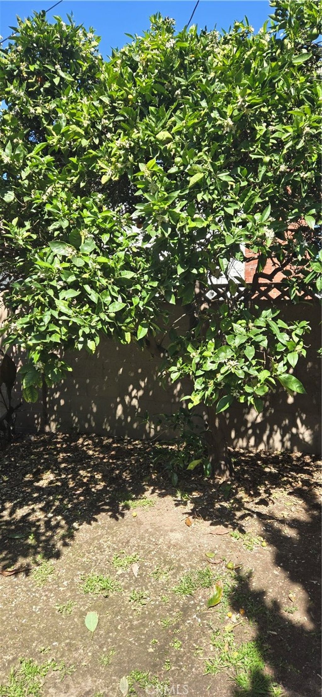 listing image 24