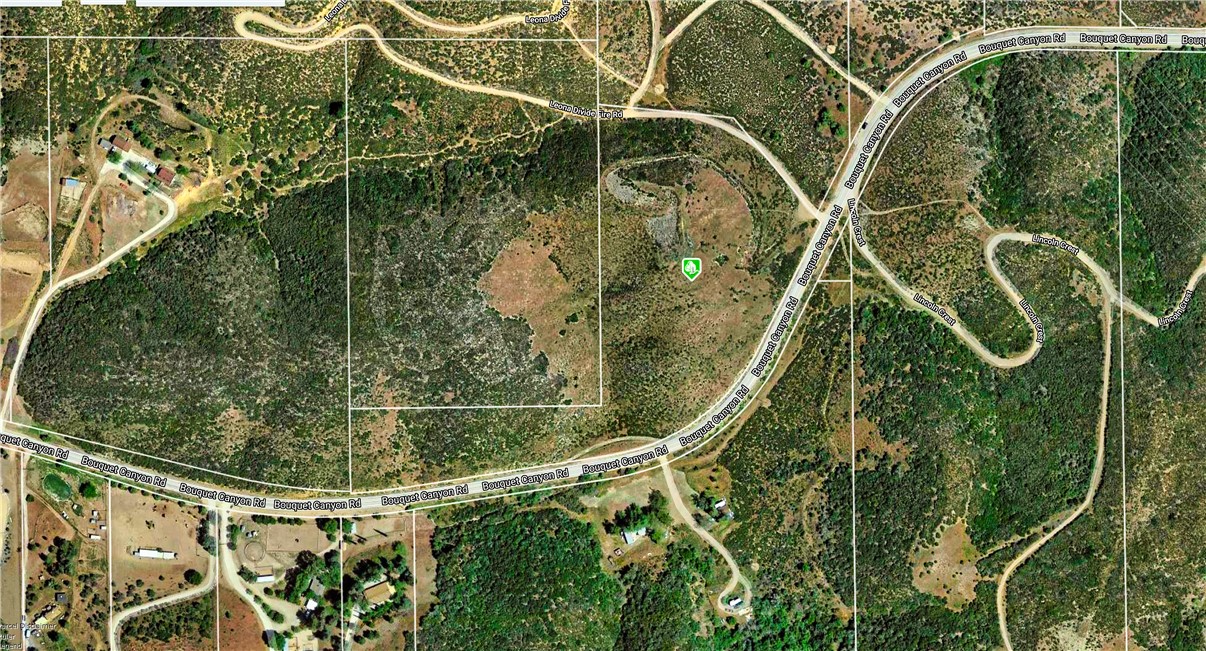 1 Vac/Bouquet Canyon Pav /Vic Sp