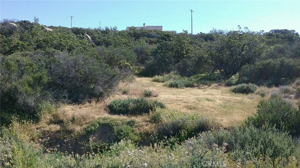 Private 2.52 ac lot with views facing the Palomar mountains. Natural vegetation and trees .Enjoy tranquility and fresh air and low property tax. equestrian based gated community with lake, fishing, Private Airstrip, pool, play grounds, BBQ area, Basket and Volley Ball courts, Security, gated, roads maintained by association, on site fire department and office. Occasional snow, 3400 elevation, low property tax. 3 miles close to Cahuilla Casino and 25 NE of Temecula and 15 Frwy. Owner May Carry