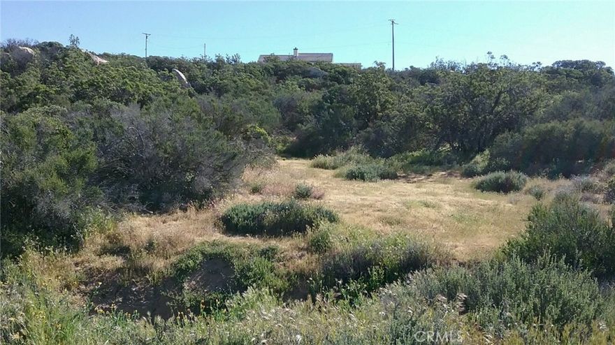 Private 2.52 ac lot with views facing the Palomar mountains.  Natural vegetation and trees .Enjoy tranquility and fresh air and low property tax.  equestrian based gated community with  lake, fishing, Private Airstrip, pool, play grounds, BBQ area, Basket and Volley Ball courts, Security, gated, roads maintained by association, on site fire department and office. Occasional snow, 3400 elevation, low property tax. 3 miles close to Cahuilla Casino and 25 NE of Temecula and 15 Frwy. Owner May Carry